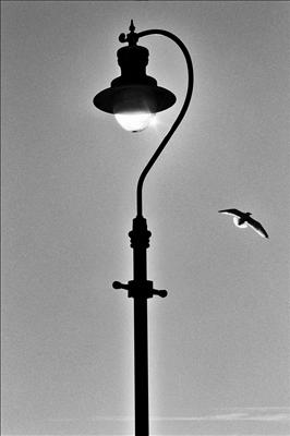 Lyme Regis sea light