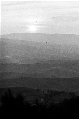 Sun setting with birds at Volterra 20