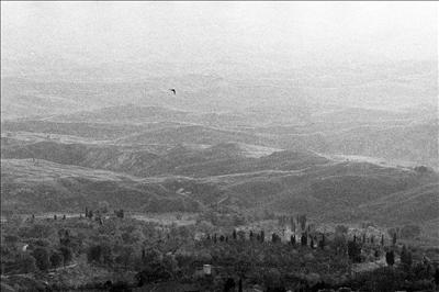 Evening birds in Volterra 12