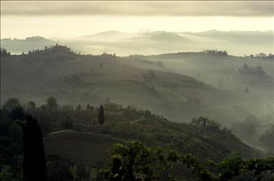 Chianti Dawn