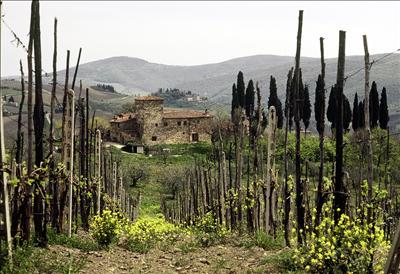 Tuscan Farmhouse