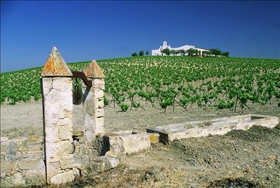 Well in the Jerez Albariza