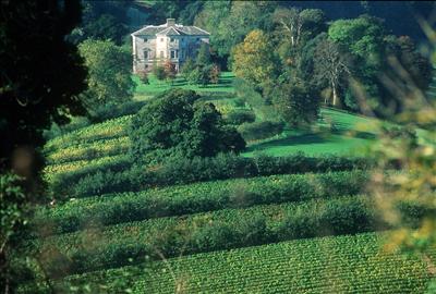 Sharpham Estate