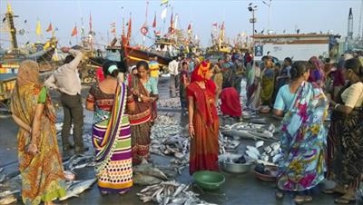 Vanakbara fish market in Diu