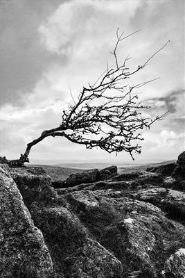 gc20 sharp tor, dartmoor 0056-2