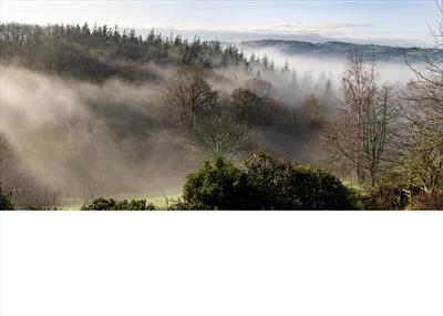 gc28 mist, dunsford, devon. panoramic 2