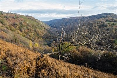 gc47 autumnal teign gorge, hunters path, devon 4995