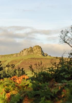 gc50 haytor, dartmoor, devon (v) 9