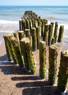 gc90 dawlish (v) warren groynes