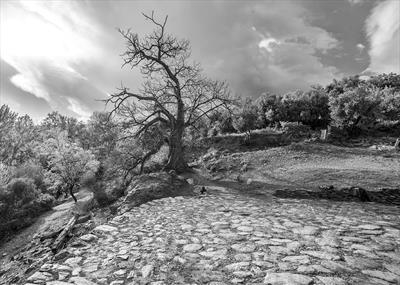 gc87 ferreriola, threshing circle, spain