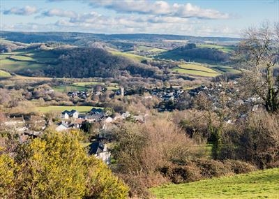 gc117 christow, yellow gorse, landscape-7881