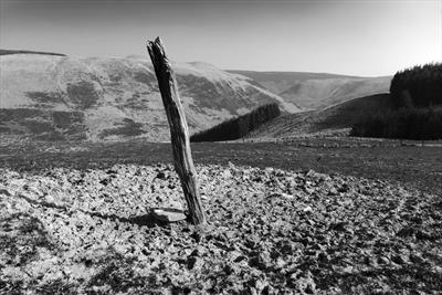 Tethering post in Dyfi