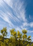 Blue & Yellow by Jan Traylen, Photography, Giclée printed photograph on textured paper.