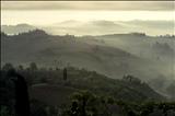 Chianti Dawn by Jan Traylen, Photography, Giclee printed Kodachrome