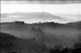 Early morning mists around San Gimignano 4 by Jan Traylen, Photography, Giclée printed photograph