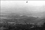 Evening birds in Volterra 11 by Jan Traylen, Photography, Giclée printed photograph