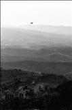 Evening birds over Volterra  23 by Jan Traylen, Photography, Giclée printed photograph