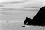 Horses Head by Jan Traylen, Photography, Giclée printed photograph on textured paper