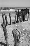 Old Wood by Jan Traylen, Photography, Giclée printed photograph on natural white textured paper