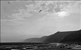 Robin Hoods Bay 59-17.2 by Jan Traylen, Photography, Giclee printed photograph