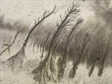 Sand Forest 1 by Jan Traylen, Photography, Digital Giclée printed photograph on natural white textured 315gsm paper