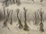 Sand Forest 2 by Jan Traylen, Photography, Digital Giclée printed photograph on natural white textured 315gsm paper