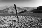 Tethering post in Dyfi by Jan Traylen, Photography