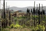 Tuscan Farmhouse by Jan Traylen, Photography, Giclee printed Kodachrome