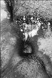 Wetness by Jan Traylen, Photography, Giclee printed photograph