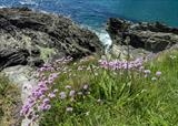 gc161 thrift_4956 by Jan Traylen, Photography