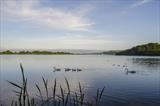 gc21 slapton ley, devon 0800 by Jan Traylen, Photography