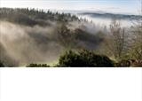 gc28 mist, dunsford, devon. panoramic 2 by Jan Traylen, Photography