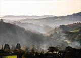 gc32 misty doddiscombsleigh, devon 5x7 1892 by Jan Traylen, Photography