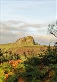 gc50 haytor, dartmoor, devon (v) 9 by Jan Traylen, Photography