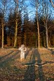 gc83 windy cross granite cross by Jan Traylen, Photography