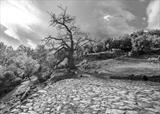 gc87 ferreriola, threshing circle, spain by Jan Traylen, Photography