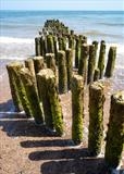 gc90 dawlish (v) warren groynes by Jan Traylen, Photography