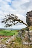 gc99 sharp tor + fields (v) by Jan Traylen, Photography