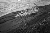 gc9A hills, tree shadows in wales.retouched.176-24 by Jan Traylen, Photography