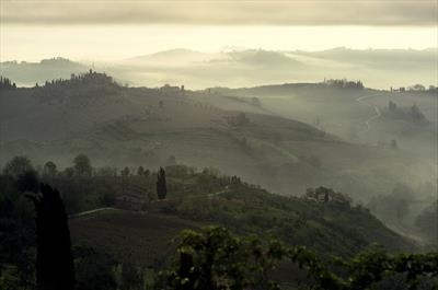 Chianti Dawn