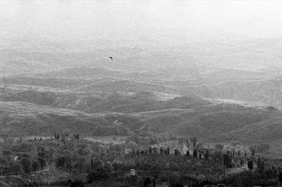 Evening birds in Volterra 12