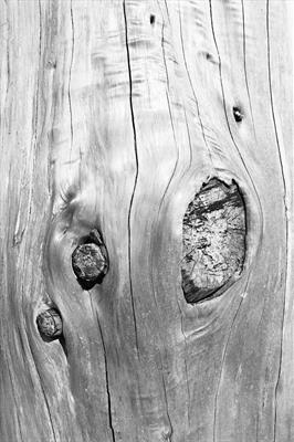 Skin .14