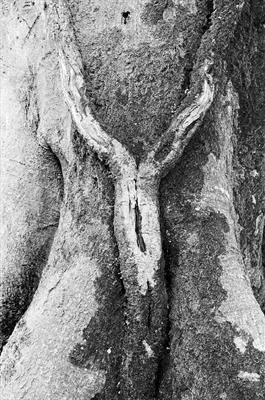 Woman 141-20