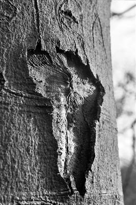 Wounded Spirit 15