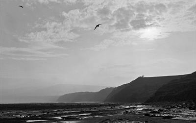 Robin Hoods Bay 59-17.2 by Jan Traylen - Photograph  From Photograph