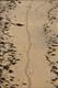 Footprints